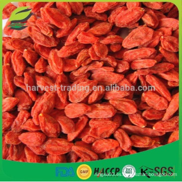 Bayas de goji secas